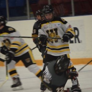 Meet your Posher, Carter